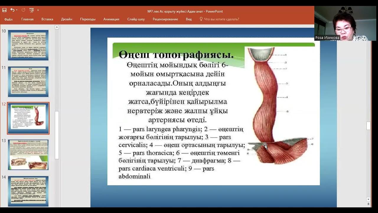 Британдық порно актрисалардың есімдері Әкесі мен қызы порно