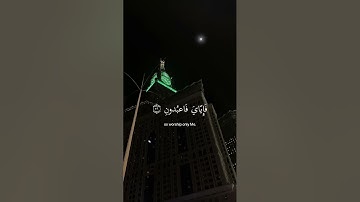سورة العنكبوت♥️الآية(56)و(57) بصوت الشيخ عبد الرحمن مسعد