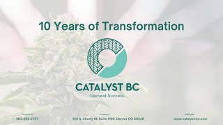10 Years of Transformation