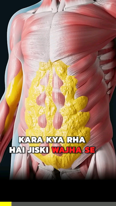 Why is Visceral Fat (Belly Fat) harmful?