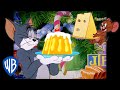 Tom & Jerry em Português | Brasil | Entrando no Espírito Natalino | WB Kids