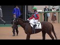 【4K現地撮影】2019年9月16日中山競馬6Rエフルラージュ&藤田菜七子騎手7着
