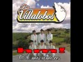 Como baila don faustinolos villalobos