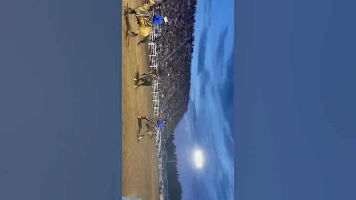 Ranch Bronc Sammie July 23, 2022 Snowflake AZ