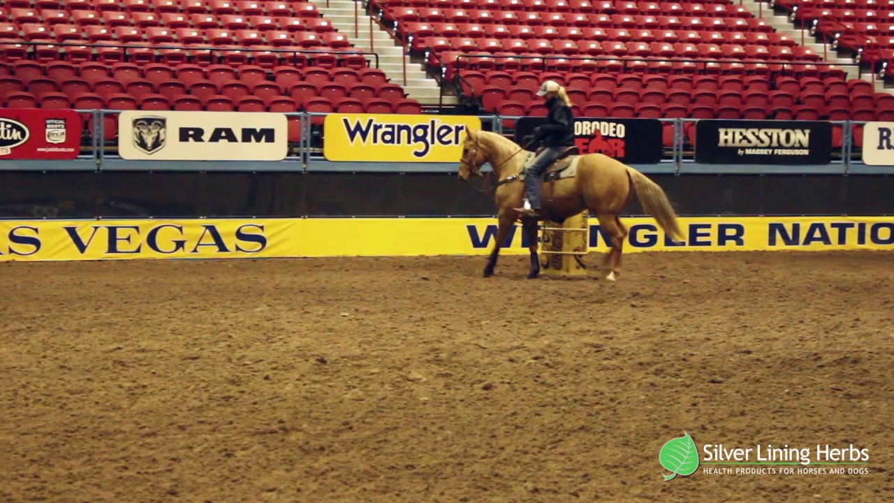 2016 WNFR Barrel Racing Practice - YouTube