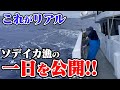 【一挙公開】ソデイカ漁のリアルな1日ルーティンを紹介します。