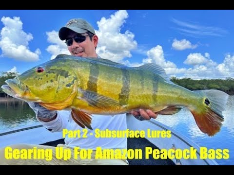 The Best Peacock Bass Lures of 2024