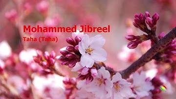 Mohammed Jibreel   Surah Taha Tahaمحمد جبريل   سورة  طه