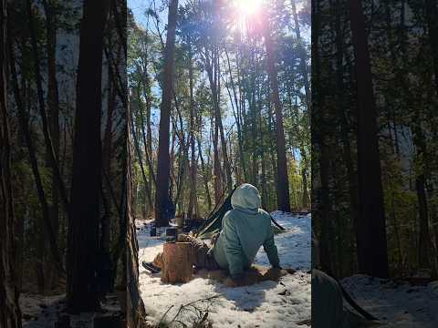 #camping #morningcoffee #snowcamping #ソロキャンプ #モーニングコーヒー #ごろり