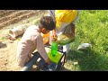 Grandpa Start Petrol Engine / Tube well Petrol Engine / Gasoline Engine Starting / Watring Field