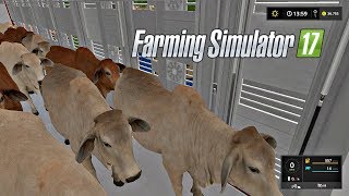 Vacas Brasileñas Ganado Cebú | DLC Platinum Expansión | Farming Simulator 17 screenshot 4