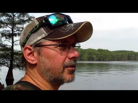 Bass Fishing on Caddo Lake Late August