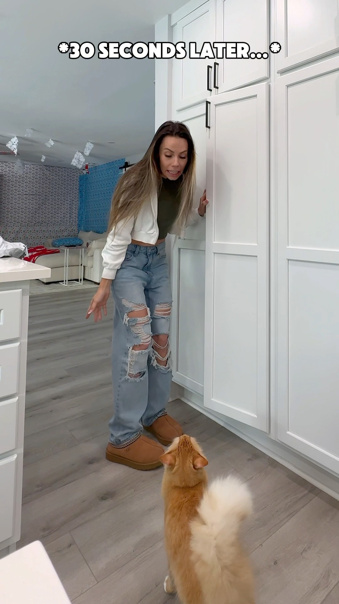 When The Rules BREAK My Cat