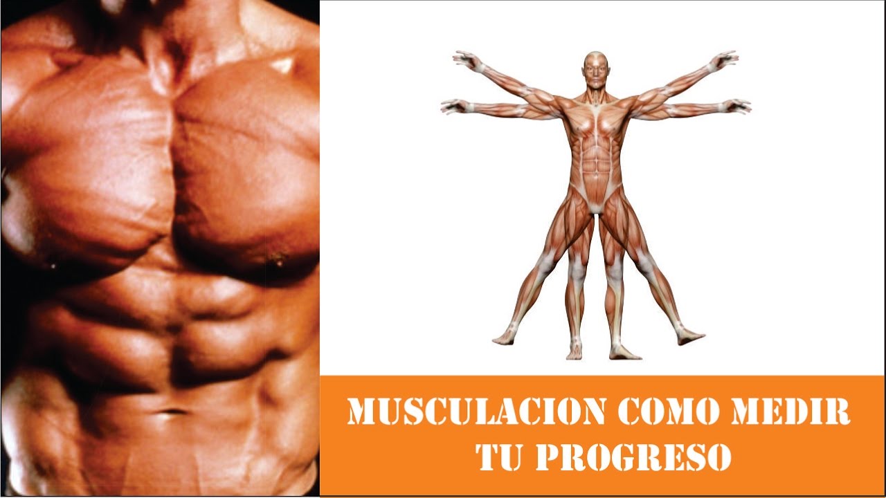 video phone beyonce mp3 musculacion como medir tus progresos