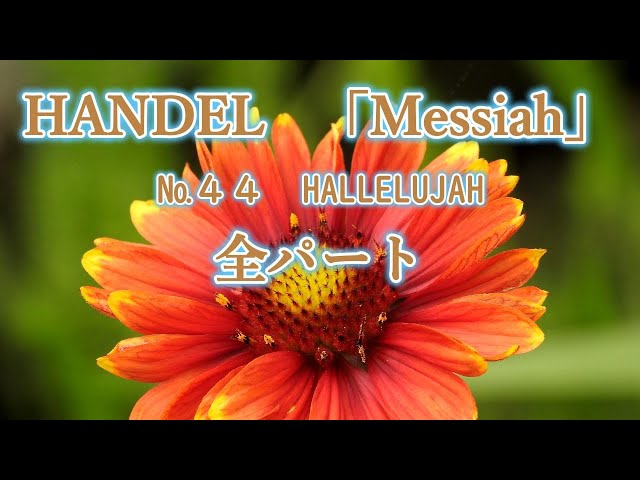 ヘンデル 「メサイア」より №44 HALLELUJAH 全パート HANDEL