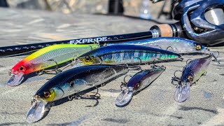 Fall Jerkbait Fishing Beginner To Advanced Underwater Bait Footage