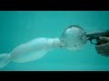 Underwater Bullets at 27,000fps - The Slow Mo Guys