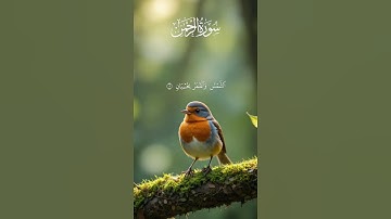 Surah Ar-Rahman سورة الرحمن | A Voice That Whispers Allah’s Mercy to Your Heart