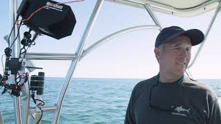 How Nat Geo Explorer Brian Skerry Is Protecting the Ocean
