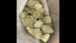 LA Kush 🍰Cake #11 ( Hybrid ) Medical Cannabis Flower
