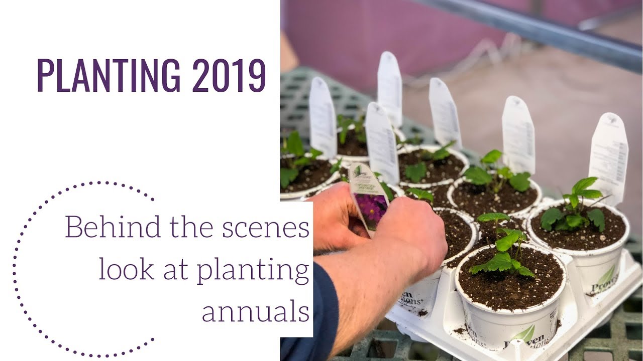 Planting 2019 YouTube