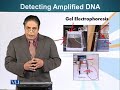 GEN731 Advanced Molecular Genetics Lecture No 32