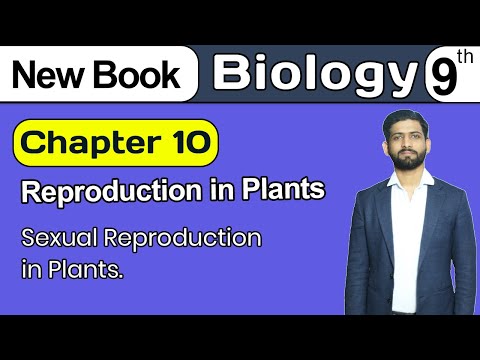 Sexual Reproduction in Plants