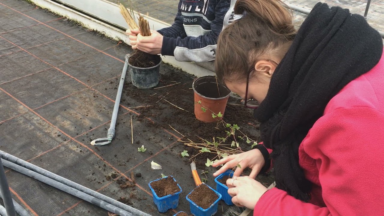 Présentation de la section MAGRI - portes ouvertes