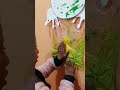 Actividad: Arrastrando y mezclo colores  #colors #green