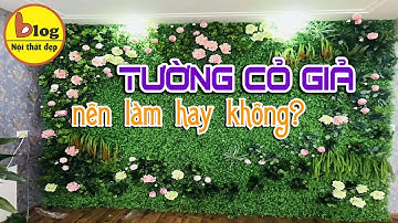 Top 7 mẫu tường cỏ giả làm cho không gian ấn tượng chưa từng có