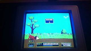 SUPER EPIC GAME OF DUCK HUNT!!!