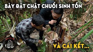 Được rủ lên rừng lấy sâm xuyên đá - Của 1 đồng công 1 nén