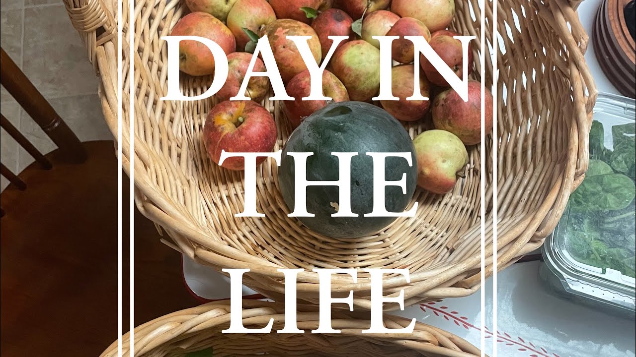 DAY IN THE LIFE - YouTube