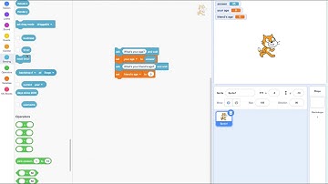 Scratch coding: using variables and taking input from the user of your code