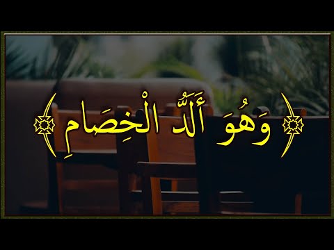 هل تعرف معنى ألد الخصام في سورة البقرة تفسير القرآن الكريم