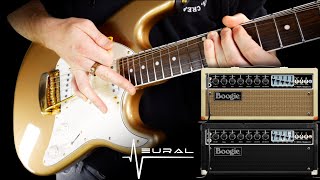 Mesa Boogie: Mark IIC+ Suite | Neural DSP | Preset Playthrough THE TONES!