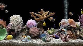 Marine Aquarium 3 Black Background (4K)