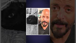 This is so sad (and also a good tip)! #cats #kittens #feralkitten Profile