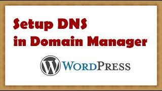 How to Setup DNS in Domain Manager
