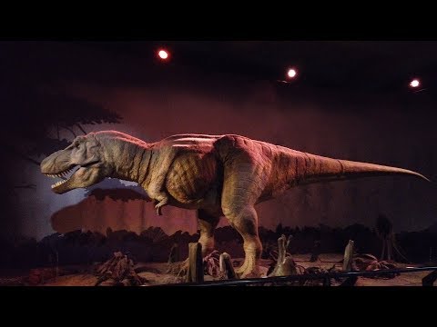 Wideo: Londyn, Muzeum Historii Naturalnej – historia życia na Ziemi