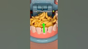 Dentist From Temu ASMR #asmr #asmrvideos #satisfying