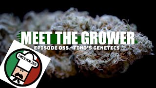 Meet the Grower Ep. 055 - Tino's Genetics - Sponsored by Mars Hydro