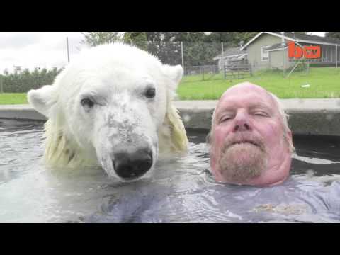 თეთრი დათვი და მისი მომთვინიერებელი - ვიდეო განწყობისთვის