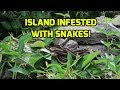 Sail To The Middle of Lake Ontario.  "Snake Island".  If you don't like snakes, DON'T COME HERE!