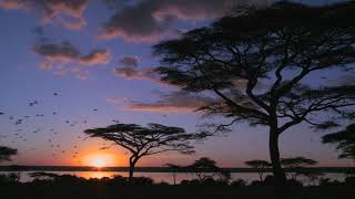 African Sunset