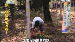 【台灣1001個故事】風災摧毀愛玉村道路 農民涉險回鄉採愛玉1011021