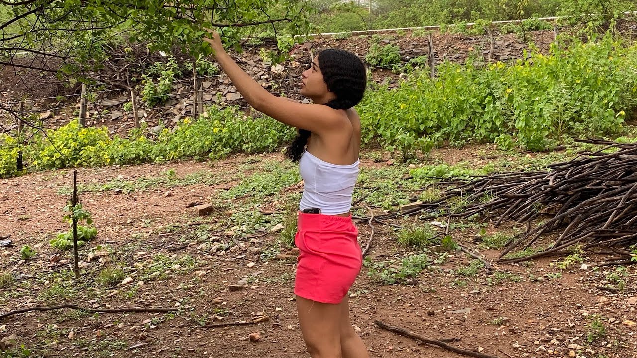 ANGELINA VEIO ATÉ A CASA ANTIGA PROCURAR SIRIGUELA 