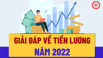 Giải Đáp 04 Vướng Mắc Về Tiền Lương Năm 2022 | TVPL