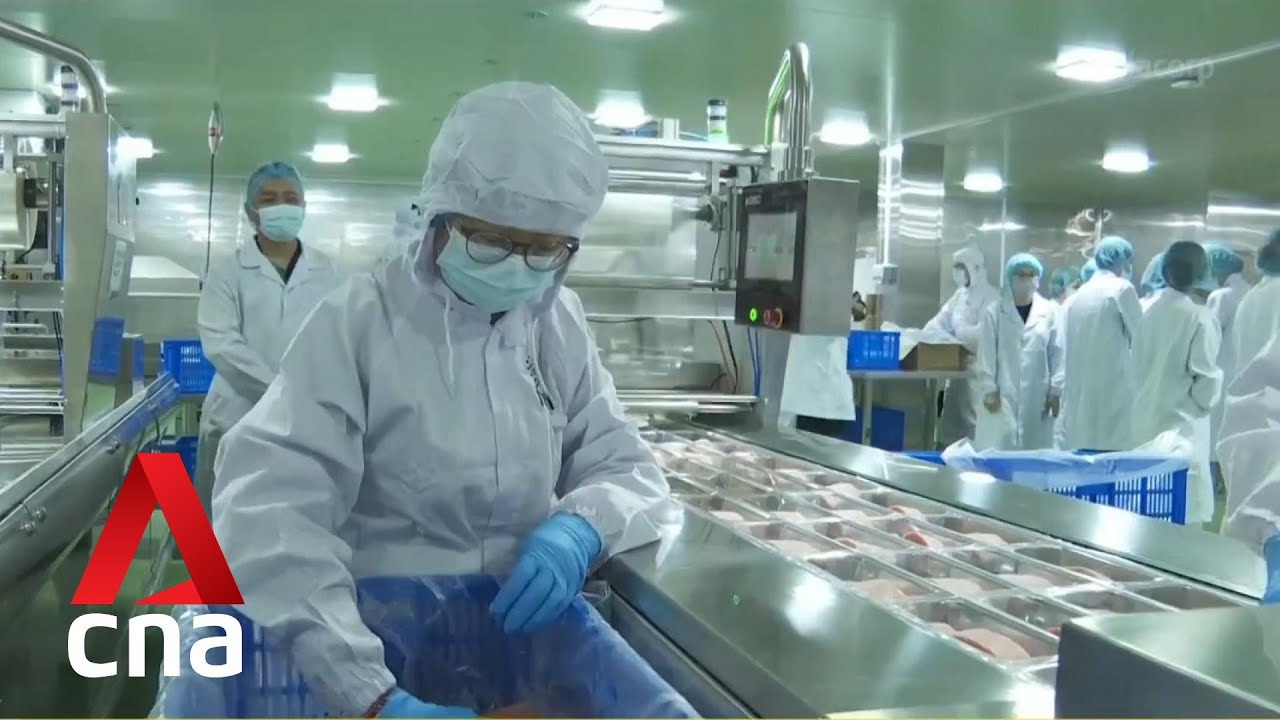 Refreshed Industry Transformation Map for Singapore's wholesale sector