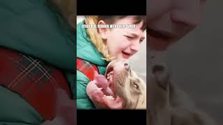 Celebrity Other Dog Reunions vs This One 💔 | Emotional Dog Recognizes Owner After Years Profile